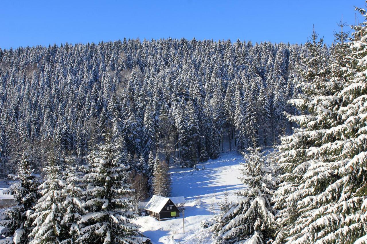 Апартаменты Fw. Aschbergblick Anno Dazumal Клингенталь Экстерьер фото